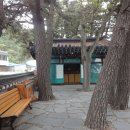 성하신당 티스토리