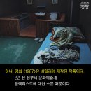 영화 ＜1987＞ 비하인드 스토리 10 이미지