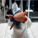 거두택지길2 이미지