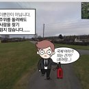 피자뉴스 이미지