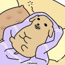 멍뭉하우스 | [신사동와인바] 가로수길 데이트 하기 좋은 분위기 좋은 와인바 '유유서울'