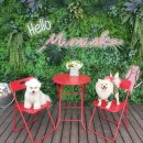 카페미밍코 이미지