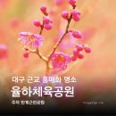 율하광장 반계공원 | 대구 근교 홍매화 명소 동구 율하체육공원 반계근린공원 주차