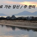 추억으로 가는 당신 / 주 현미 이미지