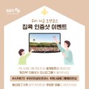 스카이앤스타