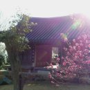 초의선사탄생지(2) 이미지