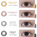 fine(파인) | 으뜸50안경 OU:FINE 오유파인 원데이렌즈 후기 | 블랙, 브라운 컬러렌즈 추천