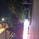 아라마루 이미지