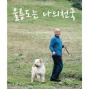 Vol 23. 이장희 - [싱글] 울릉도는 나의 천국 이미지