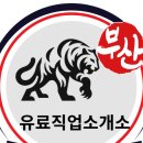 부산직업소개소 이미지
