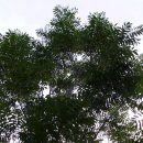 지구농장 이미지