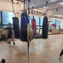 산본미래권투 이미지