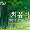 *치유학교 3기* 7강 '타락한 감정의 종류 및 근원' / 김 소망 목사 이미지