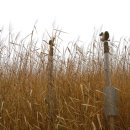 소원스테이 이미지