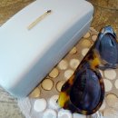 넘버원글라스 이미지