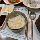 기통찬장어 이미지