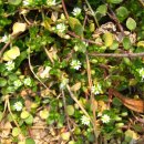 선유고등학교 이미지