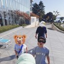 속초 가볼만한곳 롯데리조트 속초 슬로우라운지 카페 속초해수욕장 명가횟집