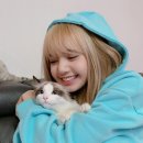 미소리사 이미지