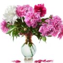 경희터미널한의원 이미지