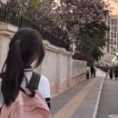 뽀데이 이미지
