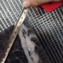 그라지오 이미지