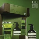 이솝하우스 이미지