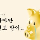 돈돈이 이미지