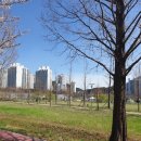 덕천온누리약국 이미지