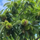 원주두리캠핑장 이미지