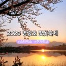 영랑호 입구 | 강원도 속초 장사동 영랑호 벛꽃축제 드라이브 카페 스타벅스 영랑호리조트점 산책길 주차정보