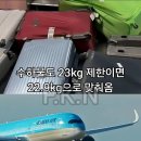 Popular Koreans 이미지