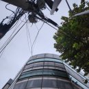 남동구중독관리통합지원센터 | 도봉구 중독관리통합지원센터 직장인 마음 힐링 싱잉볼 명상 출강후기