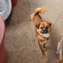 송전매운탕 이미지