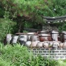 주목옹기