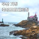 기장지구대 | 부산 뚜벅이 기장 죽성드림세트장 죽성성당 가는 법 매화원 근처 가볼만한곳