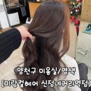 신정네거리역 2번출구 | [양천구 미용실/염색] 미랑컬헤어 신정네거리역점 | 밀크브라운, 매트브라운 염색 | 목동 염색맛집 솔직...