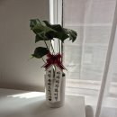 라플리스튜디오 이미지