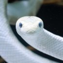 장수농원 이미지