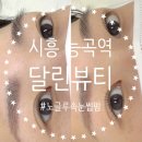 능곡숲어린이집 | 자연스러우면서 손상없는 노글루 속눈썹펌 맛집 시흥 능곡역 “달린뷰티”