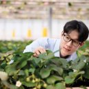 일조농장 이미지