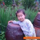 민영목장 이미지