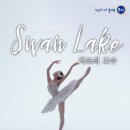 서울시티발레단 백조의 호수 이미지
