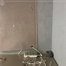 에스투짐 이미지