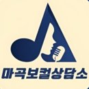 보컬업