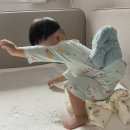 [대전 중구 용두동 미용실 추천] 써니쌀롱-2년기른머리 단발로✂️ 나나단발펌 후기 (내돈내산)