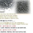 서리태와 쥐눈이콩의 이용법 이미지