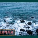 메트로하이브