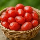 보리수 | 보리수 열매 효능