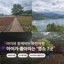 화천 가족여행 추천] 아기랑 가기 좋은 여행지 7곳 총정리 (평화의 댐, 살랑교 등 실제후기)